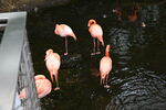 DSC_9170.JPG